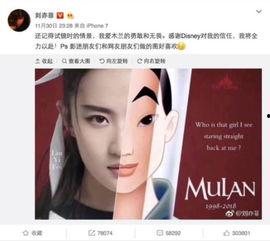 娱乐吃瓜酱年度总结,娱乐圈风云变幻，热点事件回顾