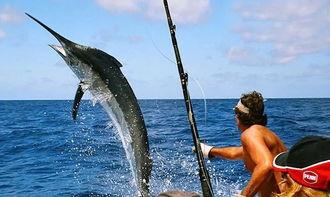 娱乐吃瓜酱钓鱼,揭秘钓鱼圈的那些事儿